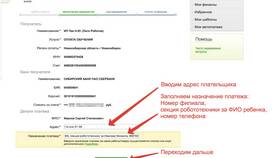 Что можно писать в назначение платежа в Спортмастер