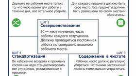 Что работает на доставку: ключевые элементы системы в Спортмастер