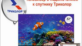 Для чего нужен Триколор в Спортмастер