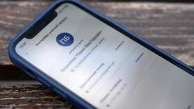 Как добавить или изменить номер телефона на Госуслугах в Спортмастер