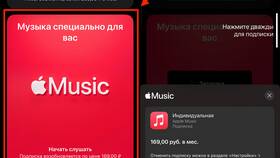 Как можно оплатить приложение в Спортмастер