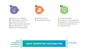 Как наследники узнают о наследстве в Спортмастер