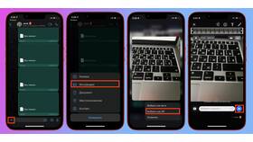 Как отправить файлы с почты на WhatsApp в Спортмастер