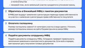 Как переоформить земельный участок через МФЦ в Спортмастер