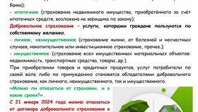 Как подать заявление в ОСГОП Минтранса через Госуслуги в Спортмастер