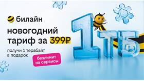 Как поделиться гигабайтами на Билайн в Спортмастер