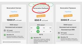 Как подключить платные услуги Мегафон в Спортмастер