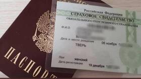 Как узнать СНИЛС по паспорту физического лица в Спортмастер