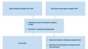 Как узнать статус юридического лица в Спортмастер
