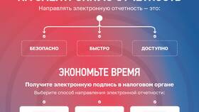 Как узнать за что штраф УФК: подробная инструкция в Спортмастер