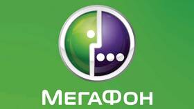 Почему не загружается приложение Мегафон в Спортмастер