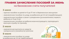 Почему опаздывает выплата из материнского капитала в Спортмастер
