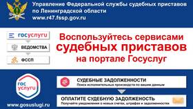 Сроки рассмотрения ходатайства в ФССП через Госуслуги в Спортмастер