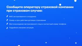 В чем суть страховых компаний в Спортмастер