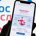 Как оформить статус многодетной семьи через Госуслуги