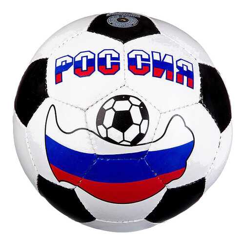 Футбольный мяч Shenzhen Toys Т15367 №5 white/blue/red в Спортмастер