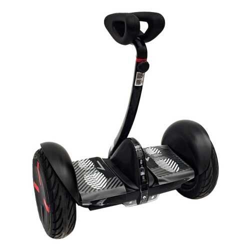 Мини-сегвей CARCAM Mini Robot 36V Black в Спортмастер