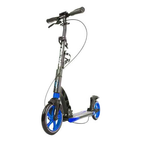 Самокат Triumf Active K5 blue в Спортмастер