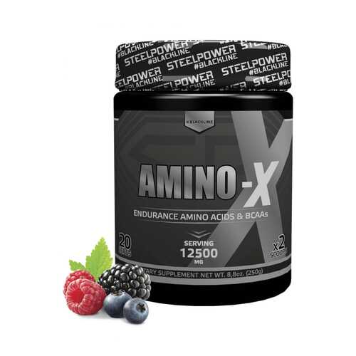 Аминокислотный комплекс AMINO-X, вкус «Лесные ягоды», 250 гр, STEELPOWER в Спортмастер