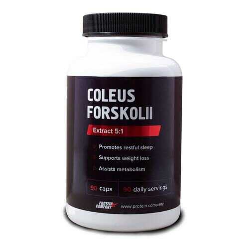 Экстракт Protein.Company Coleus Forskohlii 90 капсул в Спортмастер