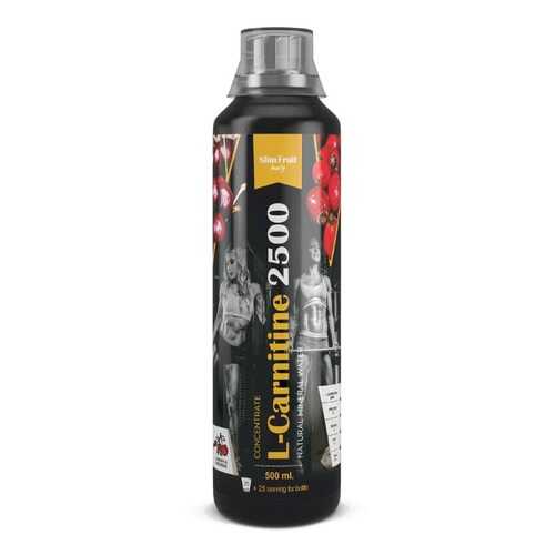 Концентрат l-carnitine 2500 пластик 500 мл в Спортмастер