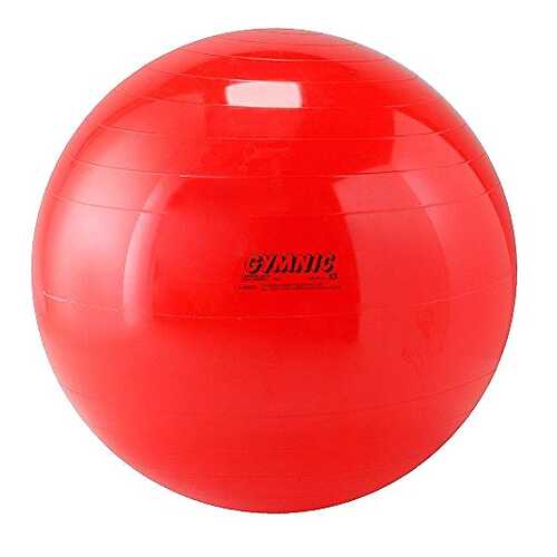 Мяч 85см Body boll с BRQ 90.85 Orto в Спортмастер