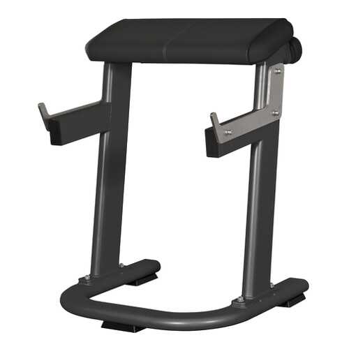 Скамья Скотта горизонтальная Spirit Fitness AFB142 в Спортмастер