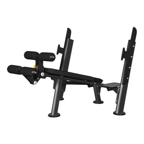 Скамья со стойкой наклонная Spirit Fitness AFB103 в Спортмастер