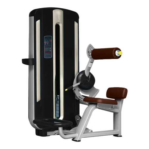 Тренажер для спины Bronze Gym MNM-009 в Спортмастер