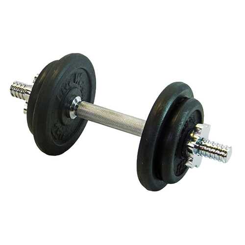 Гантель разборная Lite Weights 4542LW 25,4 мм, 9,43 кг в Спортмастер