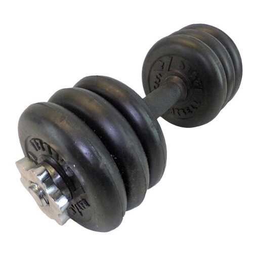 Гантель разборная MB Barbell Atlet 25 мм, 10 кг в Спортмастер