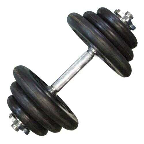 Гантель разборная MB Barbell Atlet 25 мм, 22,5 кг в Спортмастер