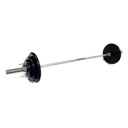 Штанга MB Barbell, гриф прямой 200 см, 80 кг, 50 мм в Спортмастер